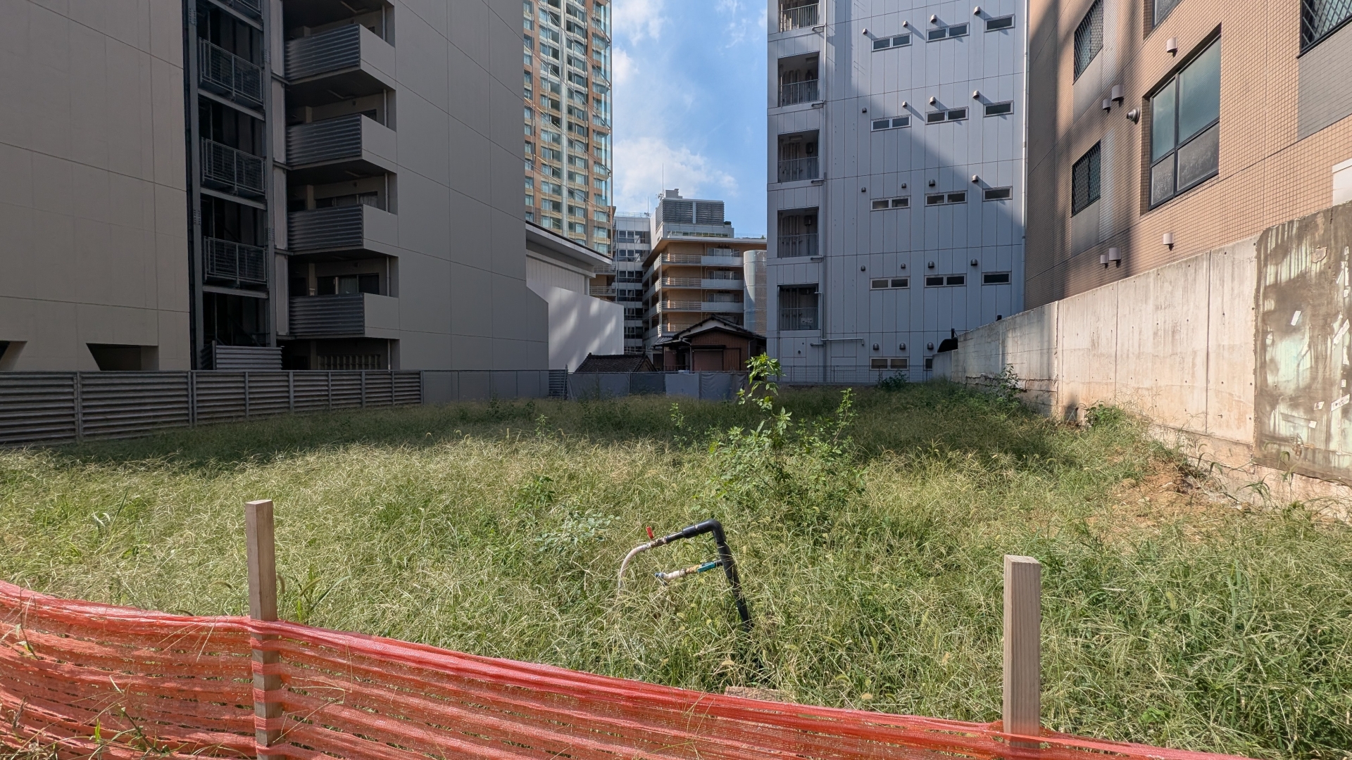 活用前の荒地の写真